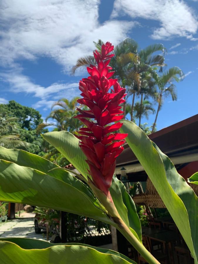 Pousada Encontro Das Ilhas Ilhabela Exteriör bild